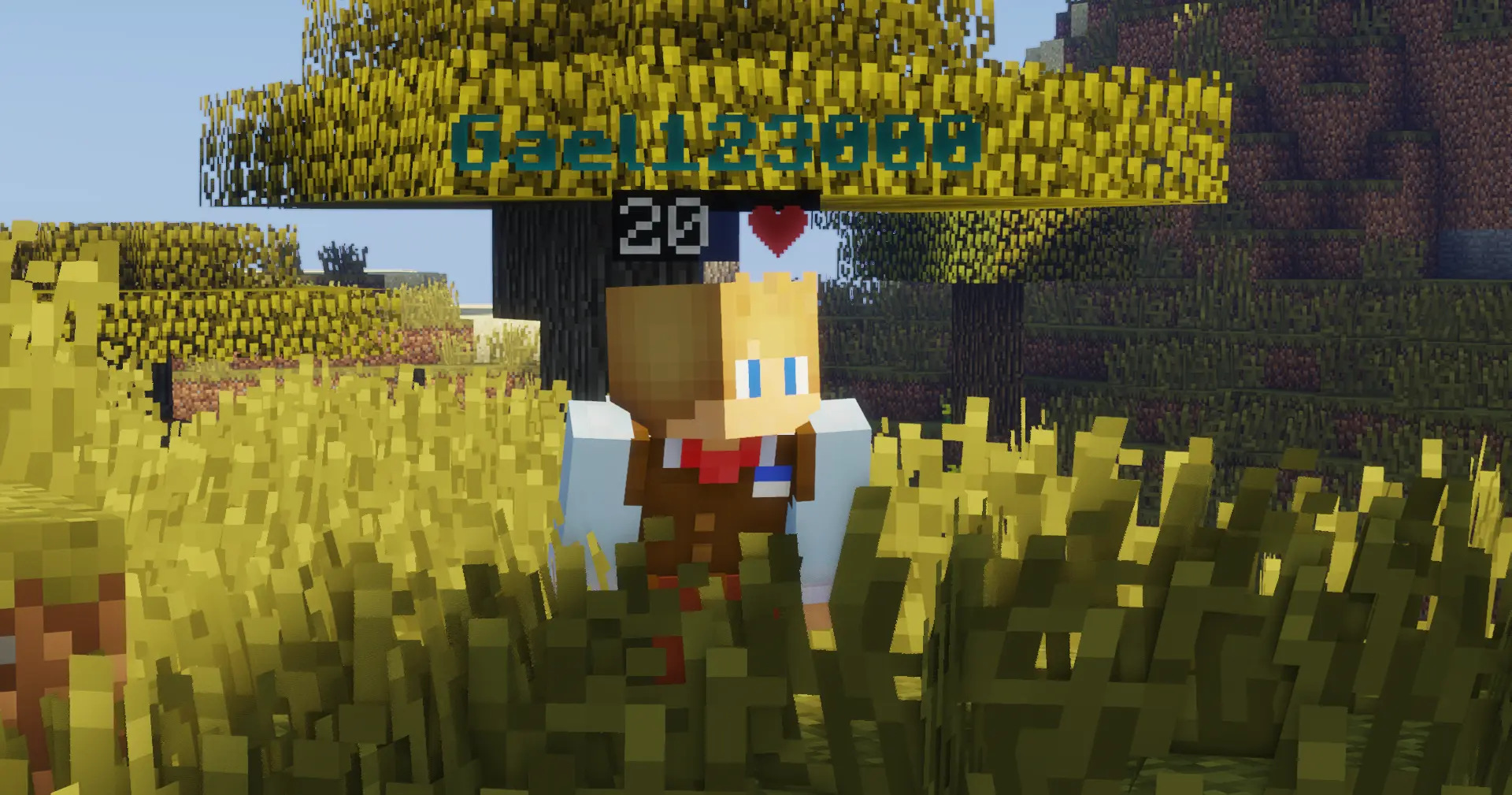 Joueurs qui jouent - Serveur Minecraft PVP Faction - Mincraft-Retro